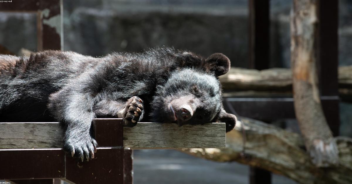 Calculadora de Cafe&iacute;na: &iquest;Afecta tu Sue&ntilde;o? Desc&uacute;brelo Ahora