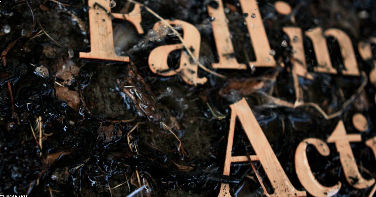 El Poder Oculto del Texto: &iquest;Por Qu&eacute; Invertir Es Viral?