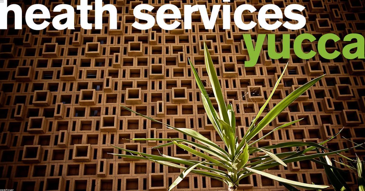 Tu Microbioma, Tu Salud: Nueva Calculadora de Impacto Metab&oacute;lico